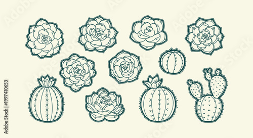Hand Drawn Botanical Collection of Succulents and Cacti Vector Line Art Illustration Elements Set