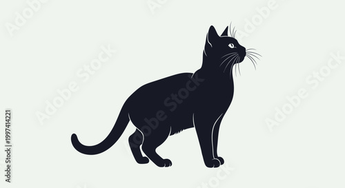 Graceful Black Cat Silhouette Standing and Looking Left in Bright Studio Background