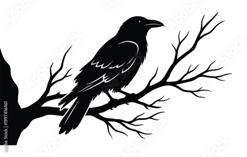 Black crow perched on a bare tree branch