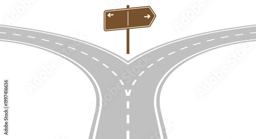 Road fork with blank signpost showing left and right directions