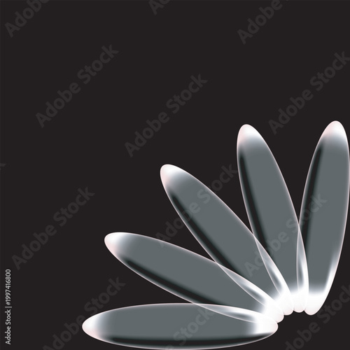 Abstract smooth translucent petals on dark background