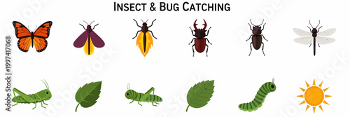 Insects and bugs catching outdoors.