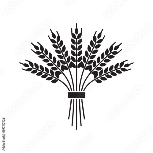 Bundle of wheat sheaf outline icon. Hand drawn line art of grain stalks tied with ribbon vector illustration.

