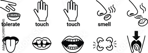 Human Senses Icons: Touch, Smell, Taste, and Tolerance - Medical Icons