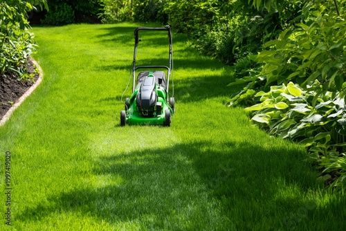 Lawnmower Cuts Grass in a Backyard During Morning Light in a Residential Area