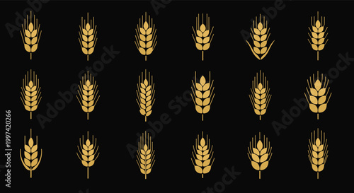 Wheat and barley ear icons on black background representing golden cereal stalks for organic farming, agriculture, and bakery businesses.