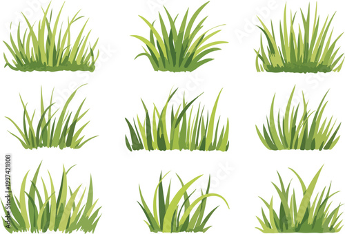 Set of isolated watercolor style green grass tufts collection featuring lush natural vegetation elements for creative landscape design projects.