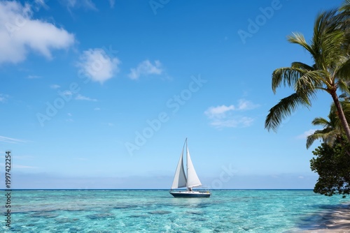 Sailboat Floating in Clear Water Near a Tropical Beach With Palm Trees on a S...
