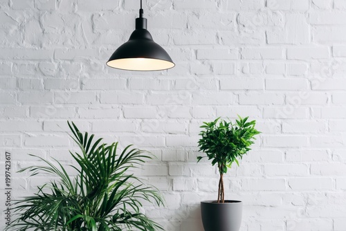 Light Fixture and Plants on White Brick Wall in Indoor Space During Daytime i...