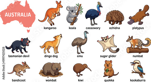 Foto Australian animals icons, wildlife symbols, Australia fauna set, 16 vector illus