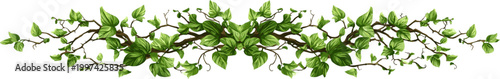 symmetrical decoration of vines with green leaves