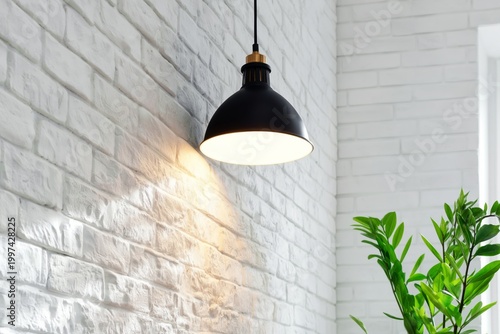 Light Fixture Hanging From Ceiling Near Green Plant in Modern Room With White...