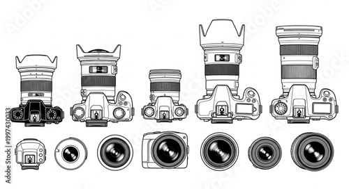 Collection of Professional DSLR Cameras and Lenses Illustration.