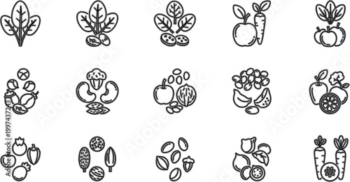 Organic Food and Plant Line Icon Vector Set with Fruits Vegetables Seeds and Healthy Nutrition Symbols for Natural Diet Design