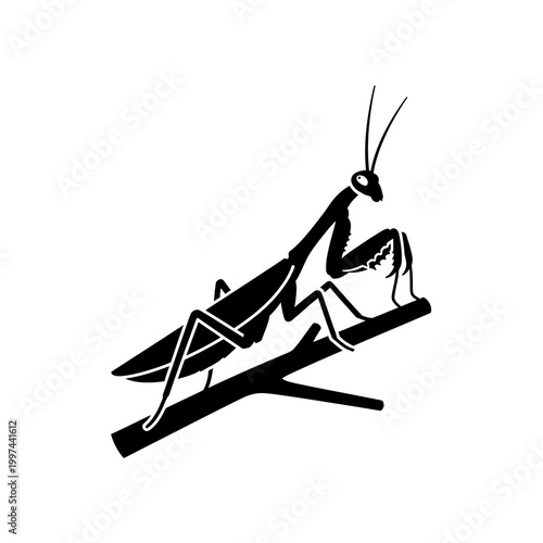 Silhouette of a praying mantis perched on a branch, black and white image.