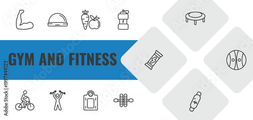 gym and fitness outline icon set. linear vector for ui, web and mobile. thin line muscles, bosu ball, carrot and icons.