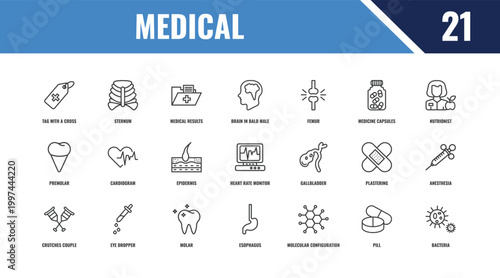 medical outline icon set. linear vector for ui, web and mobile. thin line sternum, nutrionist, gallbladder icons.