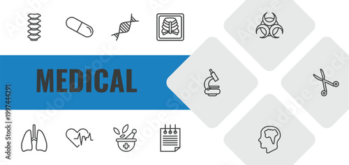 medical outline icon set. linear vector for ui, web and mobile. thin line spinal column, medical pill, medical chain of dna icons.