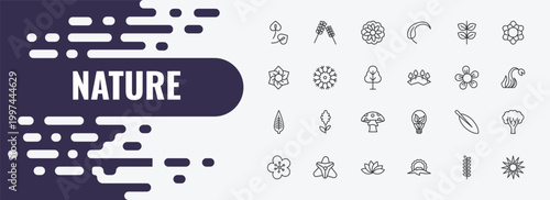 nature outline icon set. linear vector for ui, web and mobile. thin line lavender, astrantia, pinnate icons.