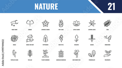 nature outline icon set. linear vector for ui, web and mobile. thin line ginkgo, fern, hyacinth icons.