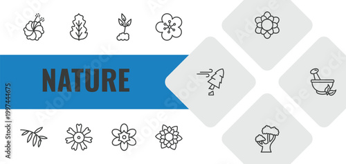 nature outline icon set. linear vector for ui, web and mobile. thin line hibiscus, peppermint, cultivation icons.