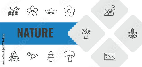 nature outline icon set. linear vector for ui, web and mobile. thin line plant growing on book, oleander, acicular icons.