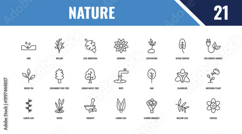 nature outline icon set. linear vector for ui, web and mobile. thin line willow, eco energy source, oak icons.