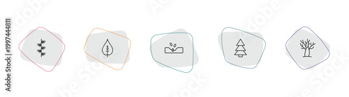 nature outline icon set. linear vector for ui, web and mobile. thin line larch leaf, nut leaf, sow icons.