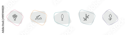 nature outline icon set. linear vector for ui, web and mobile. thin line flower bouquet, deforestation, cypress icons.