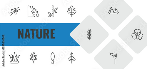nature outline icon set. linear vector for ui, web and mobile. thin line vanilla, falling debris, bamboo branches icons.