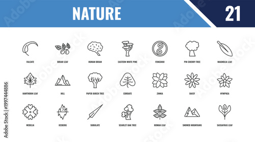 фотографія nature outline icon set