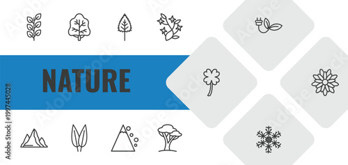 nature outline icon set. linear vector for ui, web and mobile. thin line bilberry leaf, white ash tree, birch leaf icons.