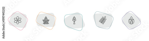 nature outline icon set. linear vector for ui, web and mobile. thin line geranium, liquidambar leaf, the maples tree icons.