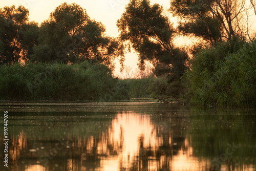 Photos Green trees and pink sky are reflected in the water of river at sunset