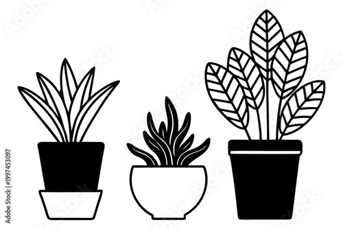 Three decorative houseplant icons represented as a clean vector graphic illustration for modern interior design and minimalist home decor style