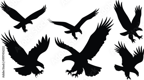 Vector Eagle Logo Icon Set Design for Powerful Wildlife Branding, National Symbol Identity, and Modern Creative Projects