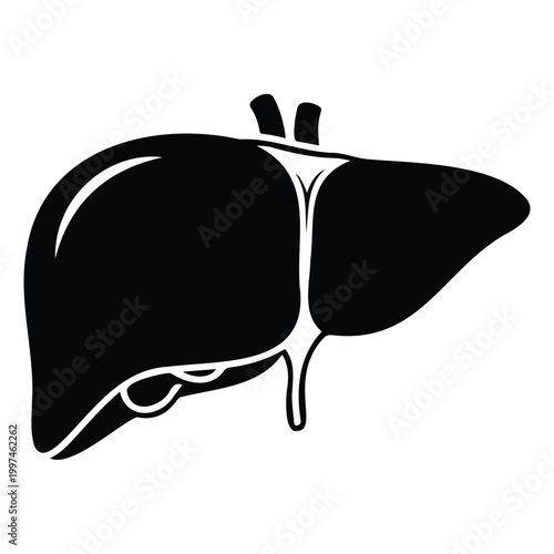 Human liver vector illustration, medical organ symbol, health care and science icon graphic.