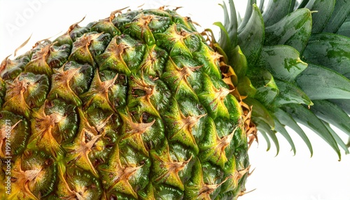 A juicy ripe pineapple with green leaves on a white background