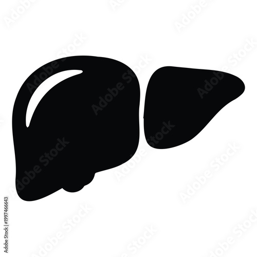 Human liver organ silhouette for healthcare and biological study vector illustration design.