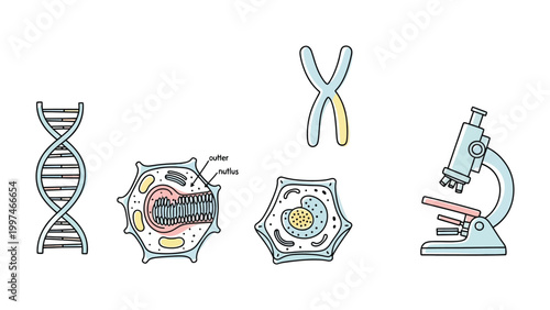 Cell Biology Illustration: A meticulously crafted illustration depicting the core elements of cell biology, including DNA strands, cells, chromosomes, and a microscope.