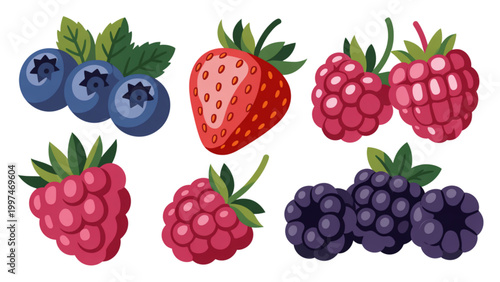 Colorful selection of fresh berries including raspberries, blackberries, and blueberries Vector
