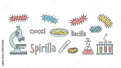 Microbiology Illustration: A detailed illustration showcasing the world of microbiology, featuring various bacterial forms and essential laboratory equipment