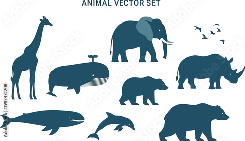 Animal vector set giraffe elephant rhino bear whale and dolphin illustrations