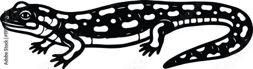 Vintage illustration of a western whiptail lizard in black and white