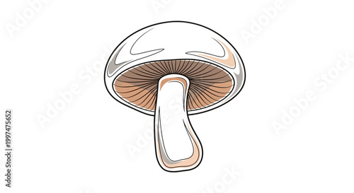 White Mushroom Illustration