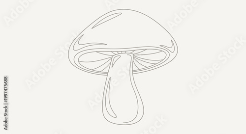 Outline Drawing of a Mushroom on a Light Background