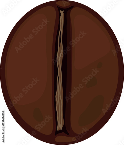 Single Roasted Robusta Coffee Bean (Coffea canephora)