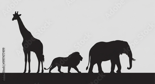 Silhouettes of giraffe lion elephant walking.
