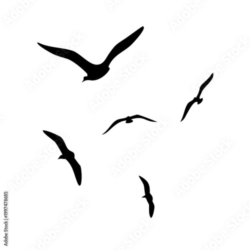 Silhouettes of flying birds