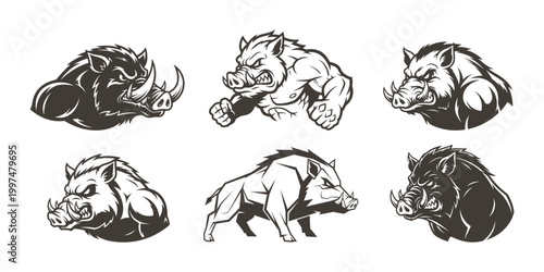 Obraz na płótnie Wild boar illustrations set monochrome design